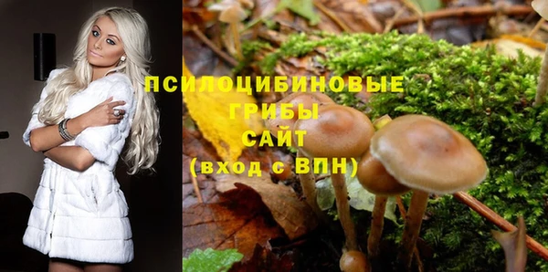 крисы Абинск