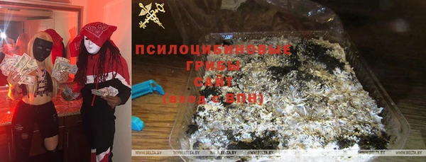 крисы Абинск